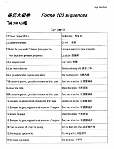 plan-tai-ji-quan1_resultat